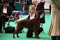 Crufts2011 116